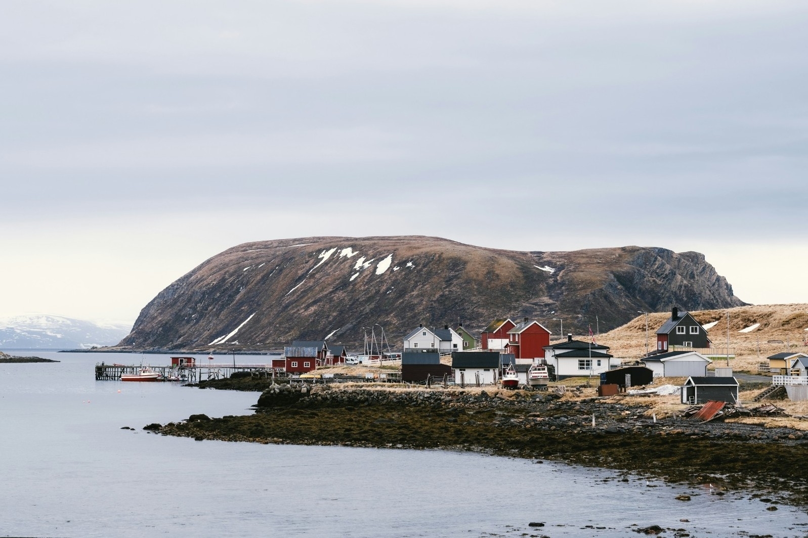 Policy, Standards & Framework Development