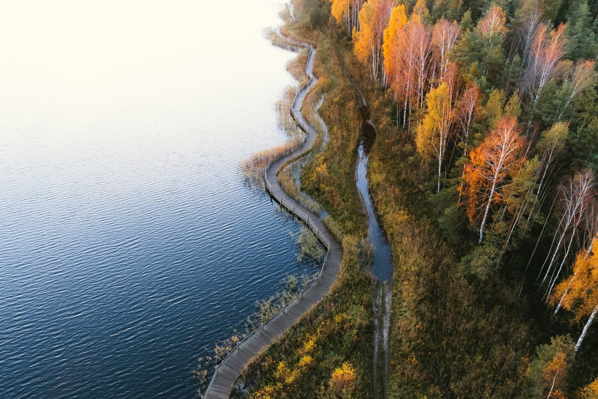 Monitoring & Evaluation